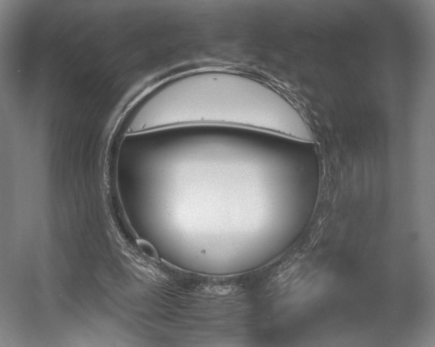 X0000057560247200509160818