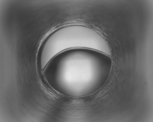 X0000057560248200509160818