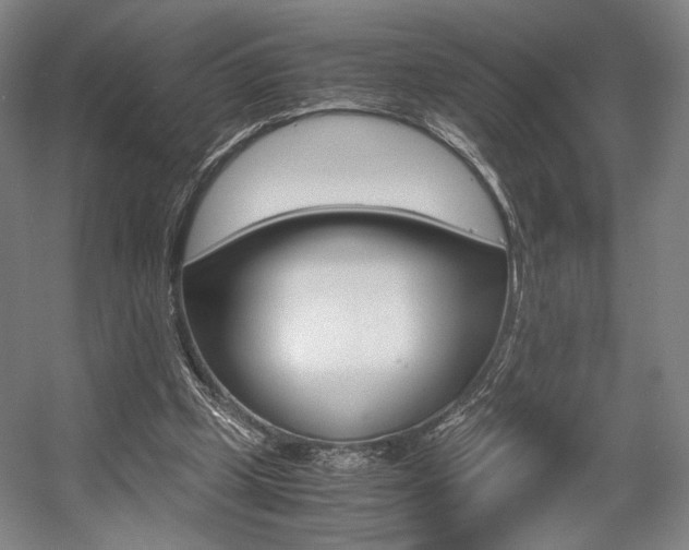 X0000057560249200509160818
