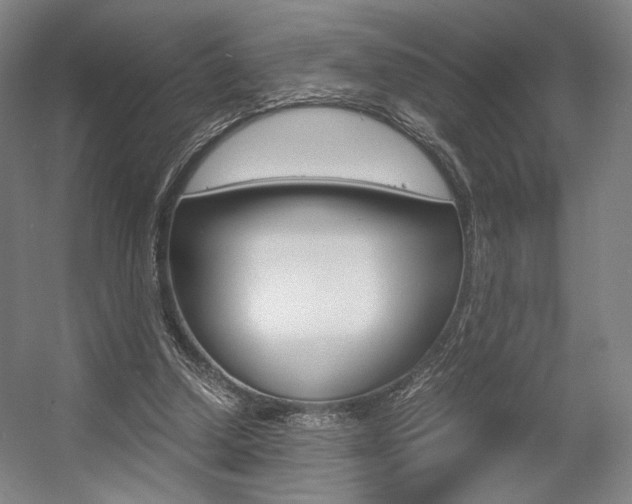 X0000057560250200509160818
