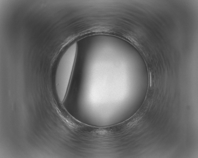 X0000057560253200509160818