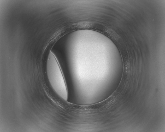X0000057560254200509160818