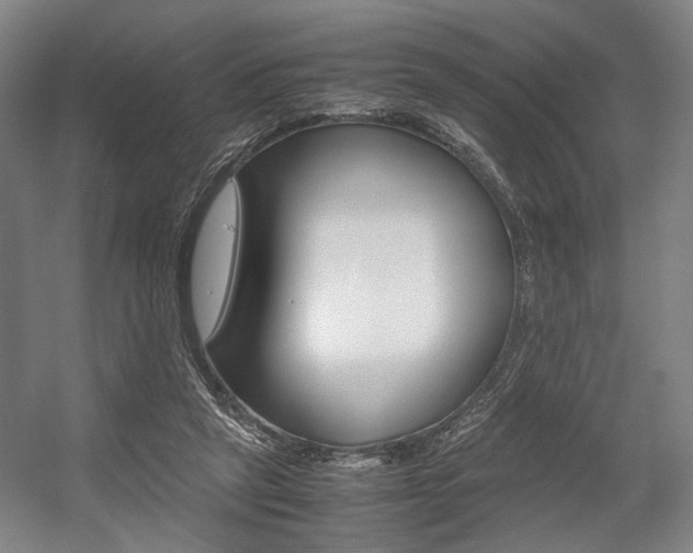 X0000057560257200509160818