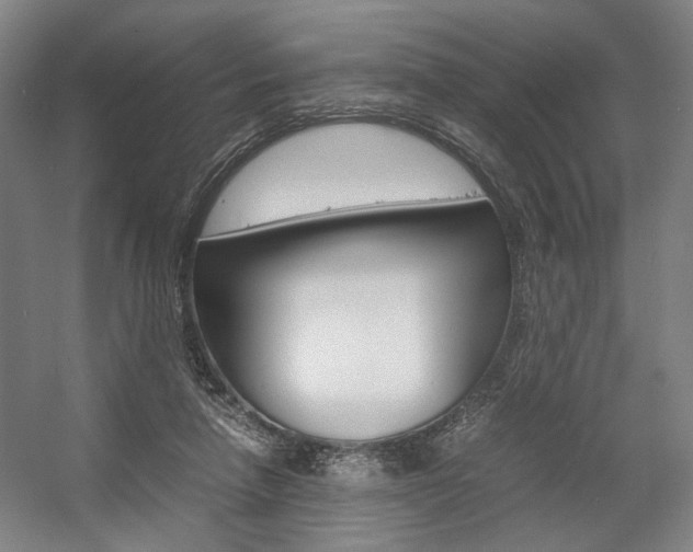 X0000057560258200509160818