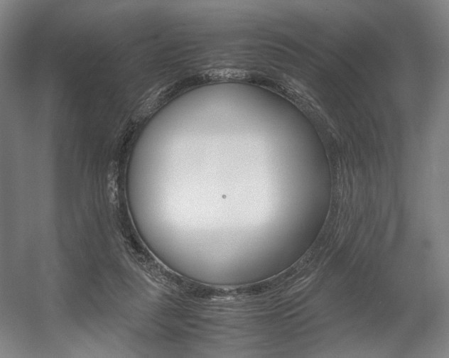 X0000057560259200509160818