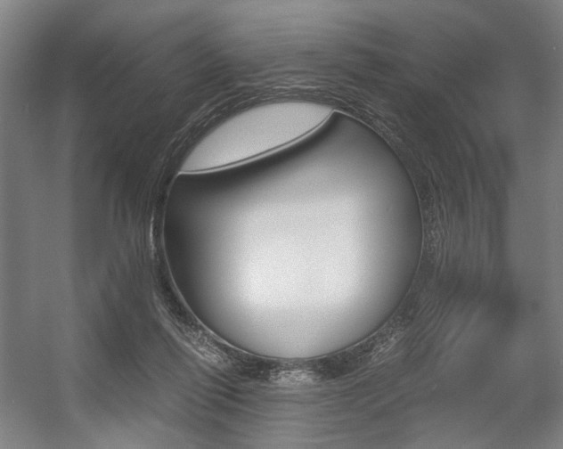 X0000057560262200509160818