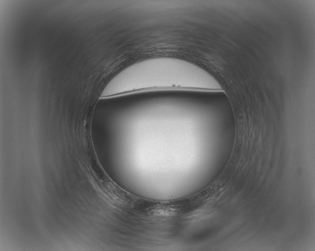 X0000057560263200509160818