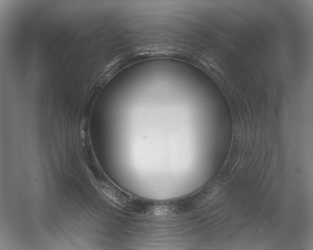 X0000057560264200509160818