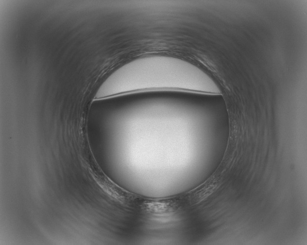 X0000057560265200509160818