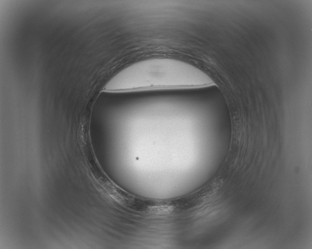 X0000057560266200509160818
