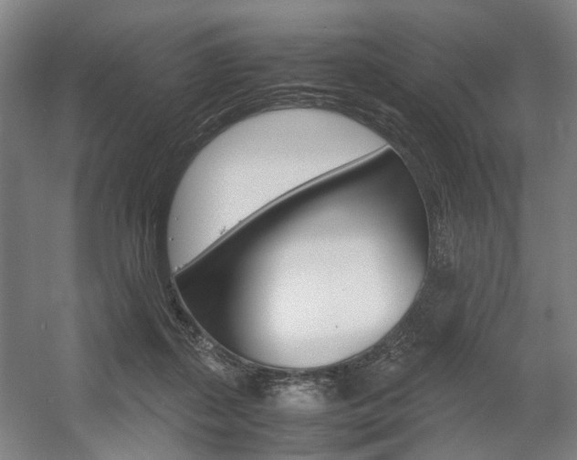 X0000057560267200509160818