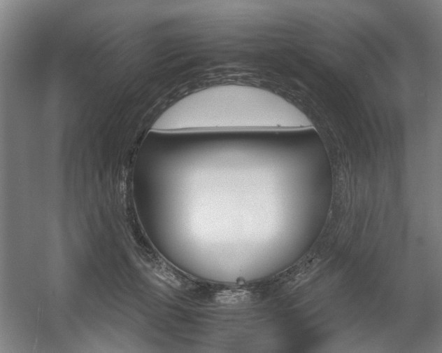 X0000057560271200509160818