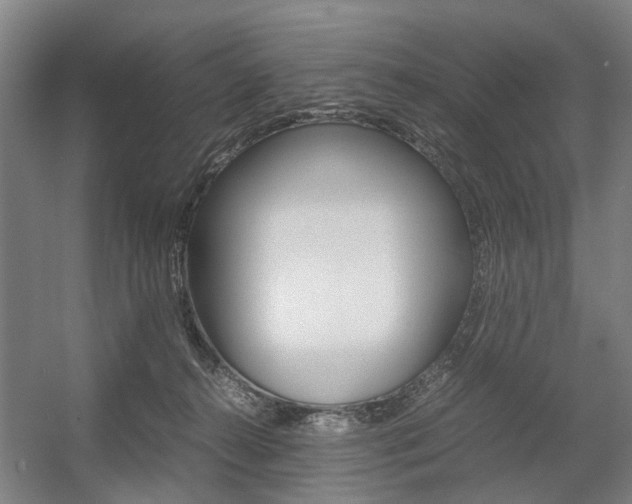 X0000057560272200509160818