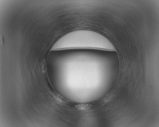 X0000057560273200509160818