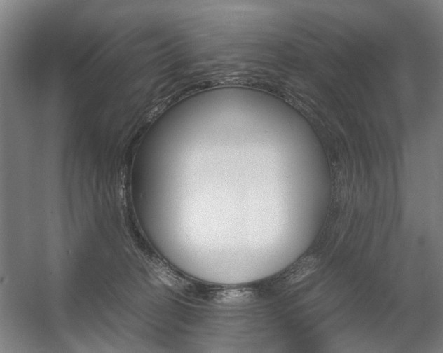 X0000057560274200509160818