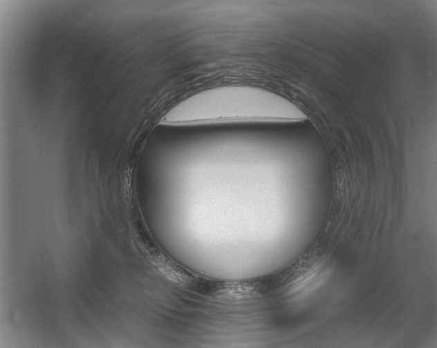 X0000057560278200509160818