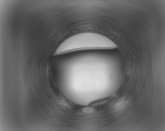 X0000057560279200509160818