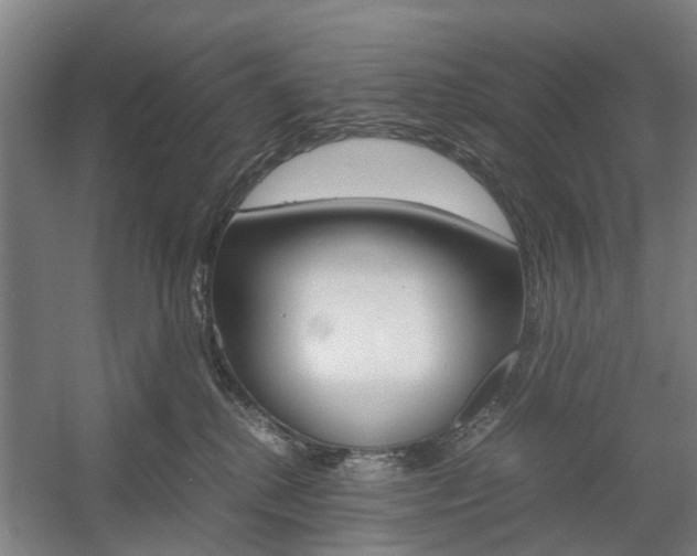 X0000057560280200509160818
