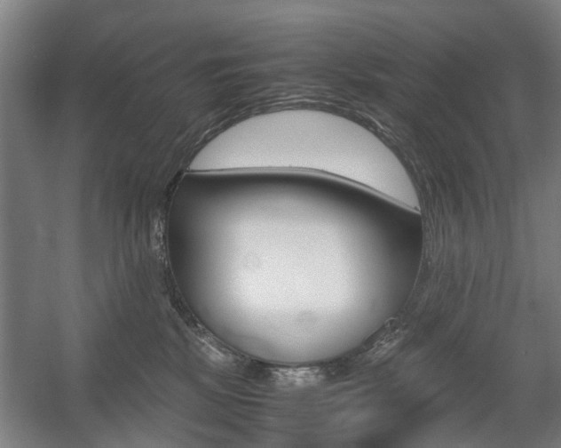 X0000057560281200509160818
