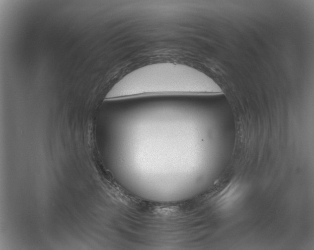 X0000057560283200509160818