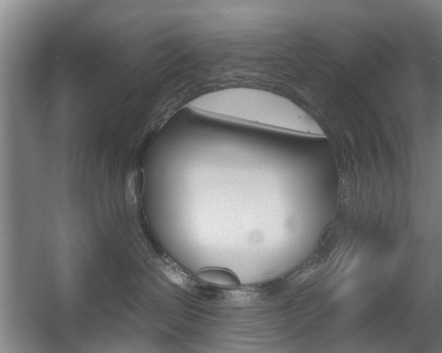 X0000057560286200509160818