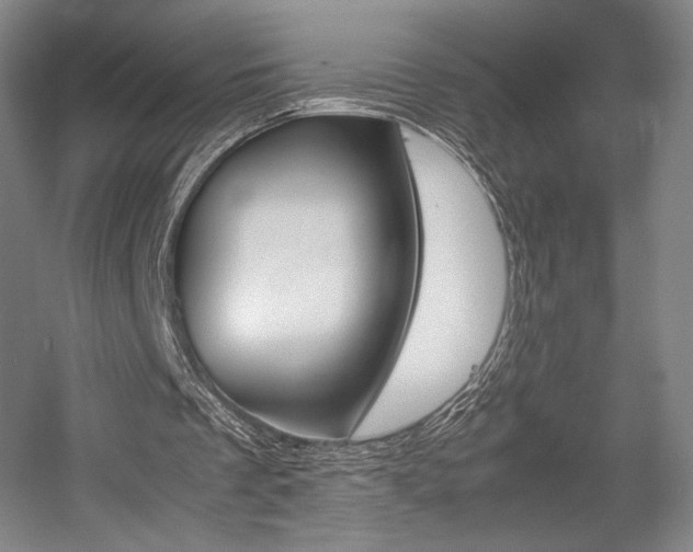 X0000057560289200509160817