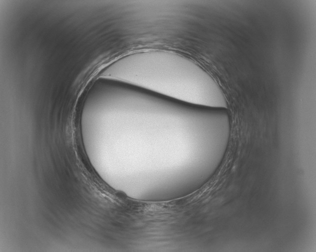 X0000057560290200509160817
