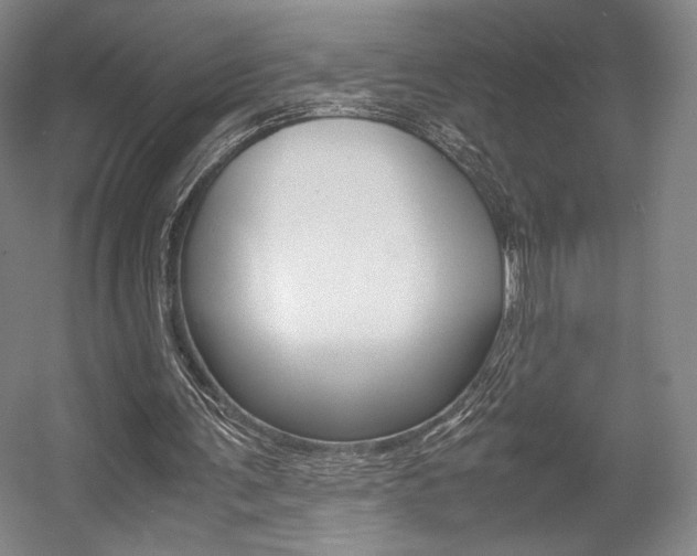 X0000057560291200509160817