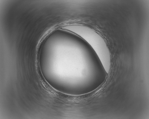 X0000057560293200509160817