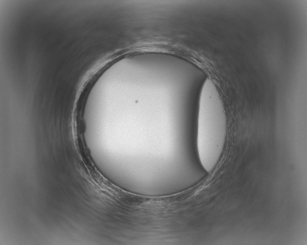 X0000057560294200509160817