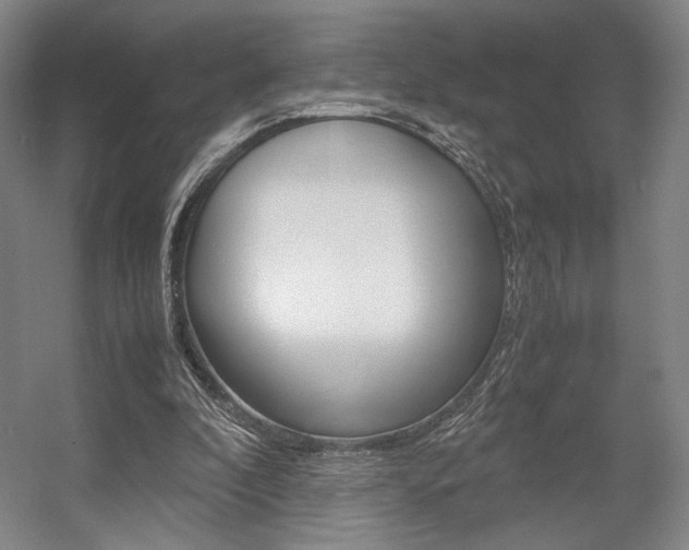 X0000057560296200509160817