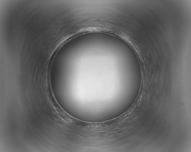 X0000057560297200509160817