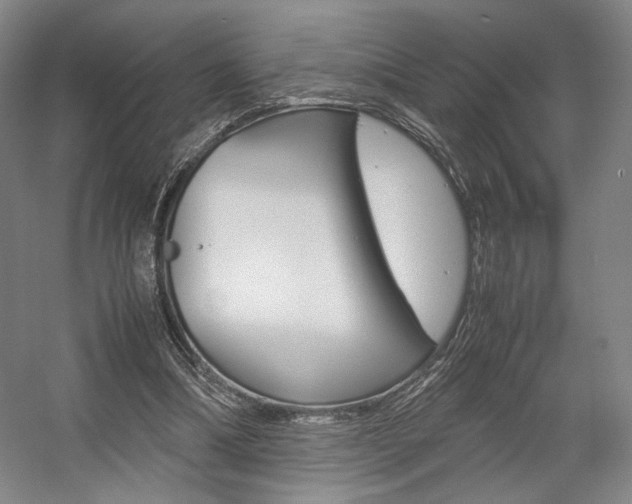X0000057560298200509160817