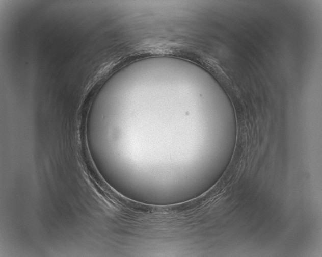X0000057560299200509160817
