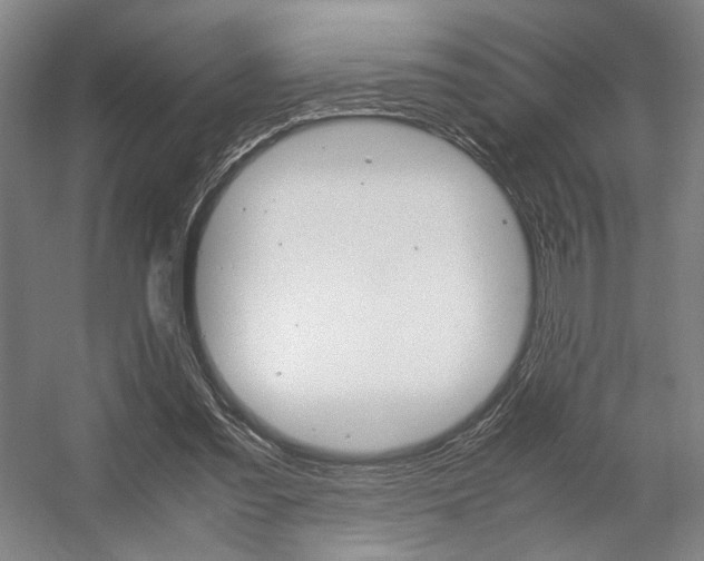 X0000057560301200509160817