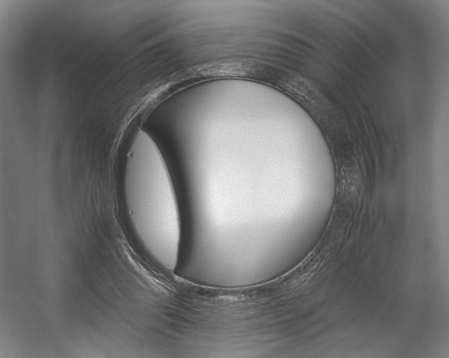 X0000057560302200509160817