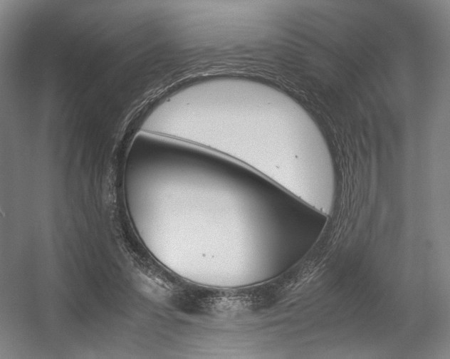 X0000057560303200509160817