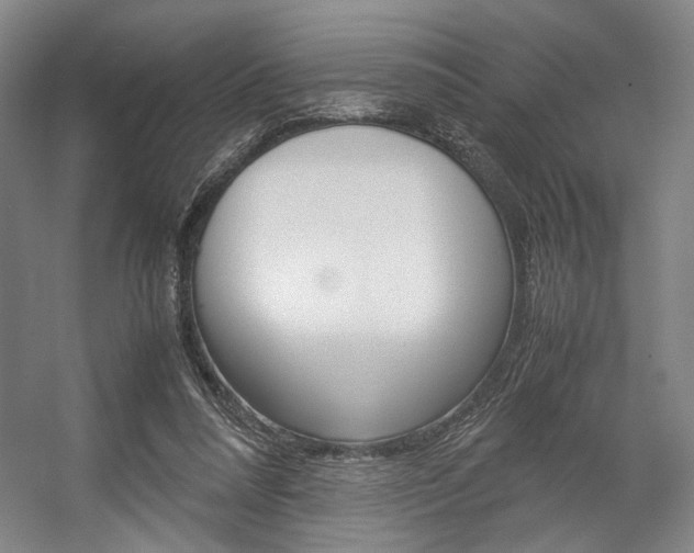 X0000057560304200509160817