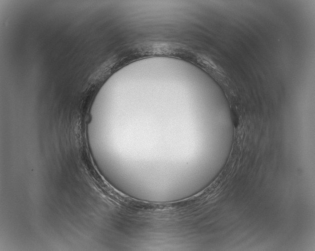 X0000057560306200509160817