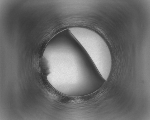 X0000057560307200509160817