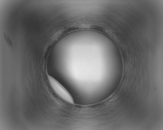 X0000057560309200509160817
