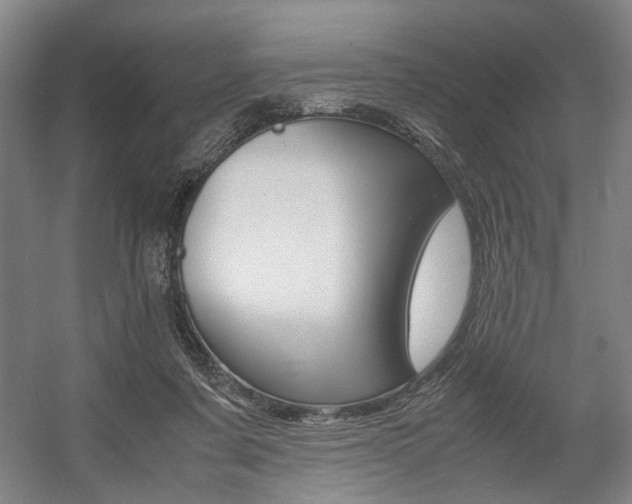X0000057560311200509160817