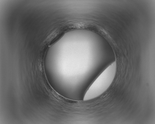 X0000057560313200509160817