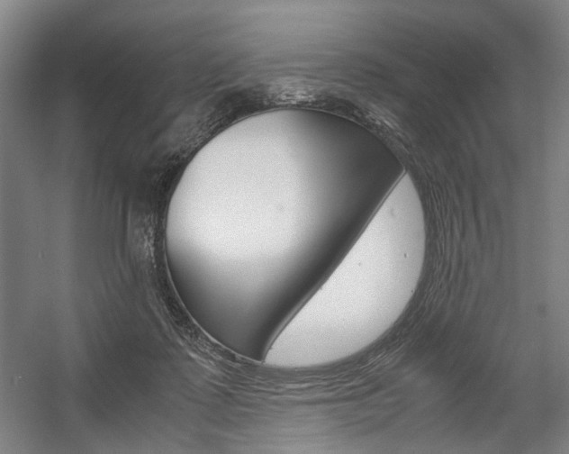 X0000057560315200509160817