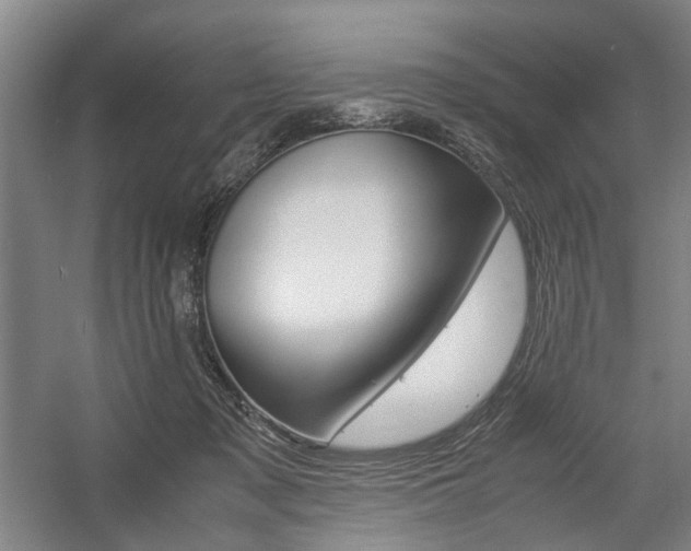 X0000057560317200509160817