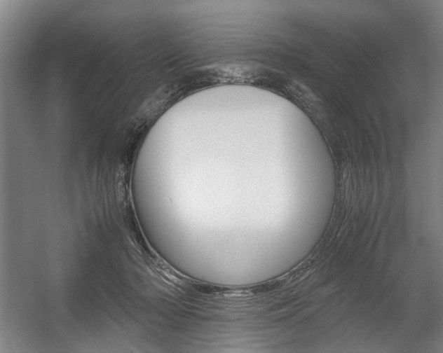 X0000057560318200509160817