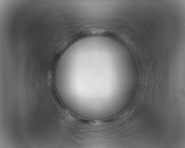 X0000057560321200509160817