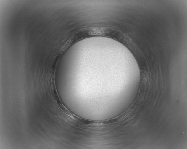 X0000057560322200509160817