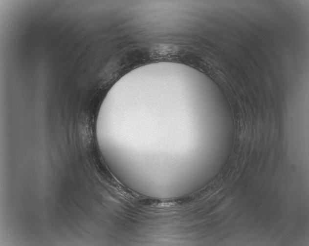X0000057560324200509160817