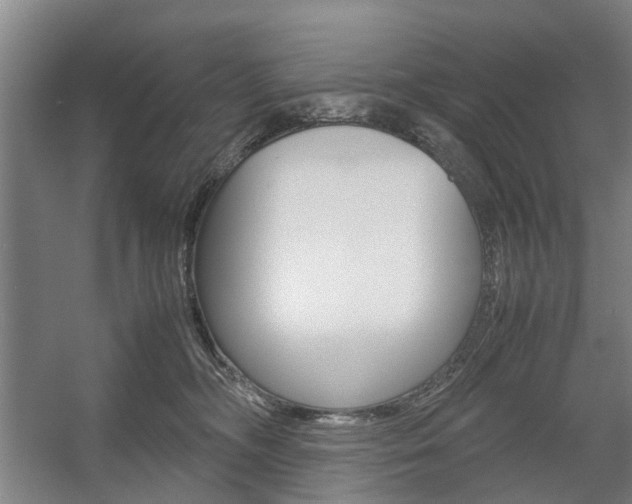 X0000057560326200509160817